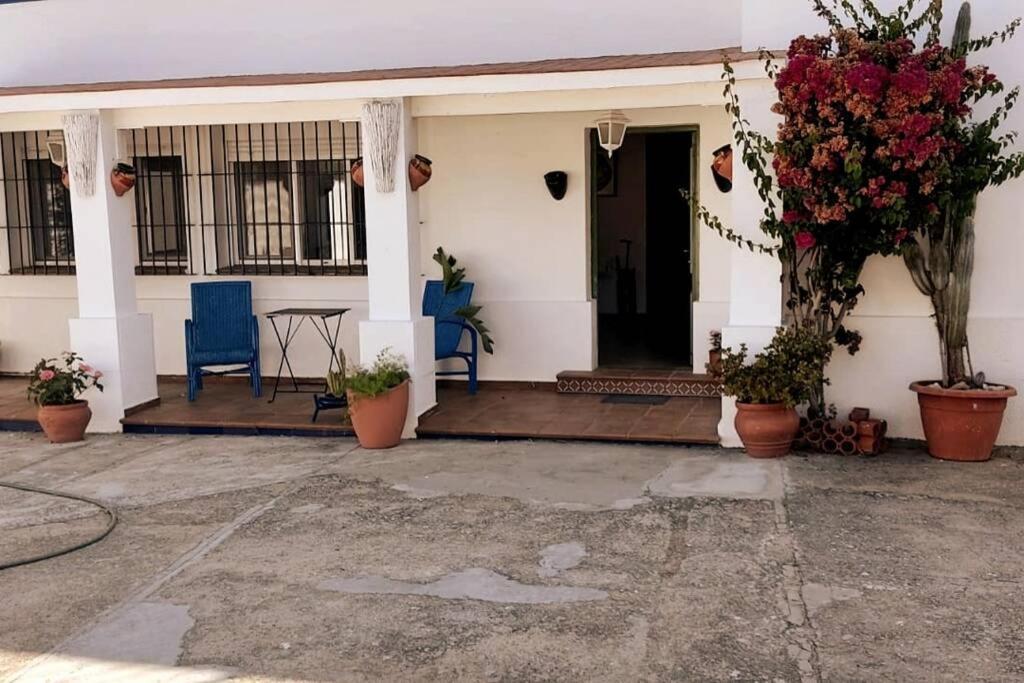 Sagrado Corazon - Chalet Con Piscina, A 25M Playa Sanlucar de Barrameda Bagian luar foto